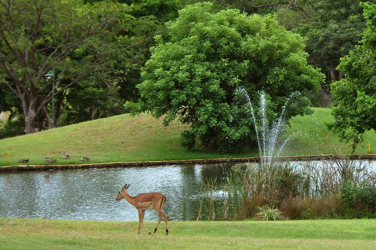 Kruger Park Lodge Unit No. 608A 헤이지뷰 외부 사진